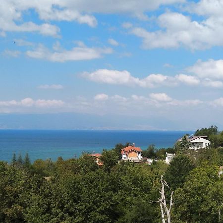 The Brothers Villa Hotel Ohrid Exterior foto