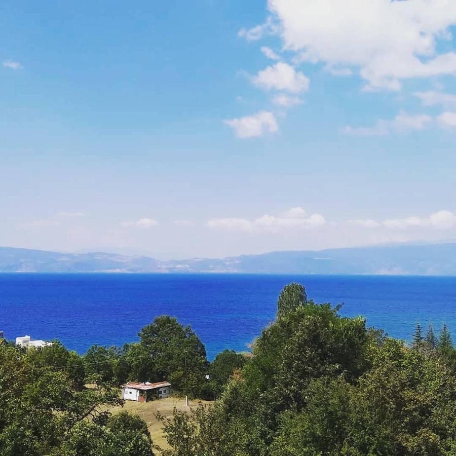 The Brothers Villa Hotel Ohrid Exterior foto